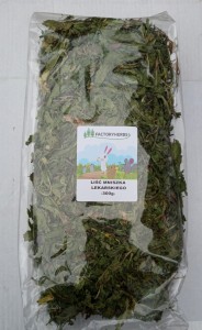 Mniszek lekarski 300 g