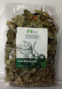 Porzeczka czarna liść 