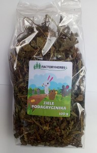 Podagrycznik 100 g